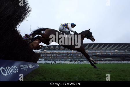 Läufer und Fahrer in der 1st Class Logistics Berkshire National Handicap Chase auf der Ascot Racecourse. Bilddatum: Samstag, 23. November 2024. Stockfoto