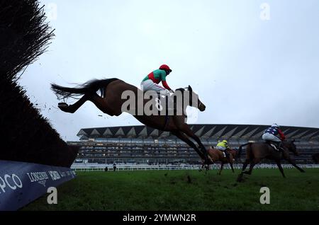 Läufer und Fahrer in der 1st Class Logistics Berkshire National Handicap Chase auf der Ascot Racecourse. Bilddatum: Samstag, 23. November 2024. Stockfoto