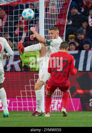 Jeffrey GOUWELEEUW, FCA 6 kämpfen um den Ball, Tackling, Duell, Header, zweikampf, Action, Kampf gegen Raphael Guerreiro, FCB 22 im Spiel FC BAYERN MÜNCHEN - FC AUGSBURG 3-0 am 22. November 2024 in München. Saison 2024/2025, 1.Bundesliga, FCB, München, Spieltag 11, 11.Spieltag Stockfoto