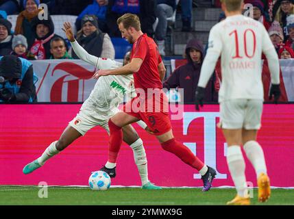 Harry Kane, FCB 9 tritt um den Ball an, Tackling, Duell, Header, zweikampf, Action, Kampf gegen Ogochukwu Frank Onyeka, FCA 19 im Spiel FC BAYERN MÜNCHEN - FC AUGSBURG 3-0 am 22. November 2024 in München. Saison 2024/2025, 1.Bundesliga, FCB, München, Spieltag 11, 11.Spieltag Stockfoto