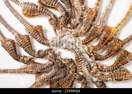 Blick von oben auf trockenes Seepferd oder Hippocampus auf weiß Stockfoto