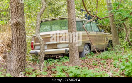 Der alte große Cherokee Jeep wurde im Wald verlassen Stockfoto