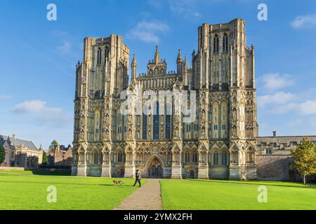 Wells Cathedral in Somerset Stockfoto