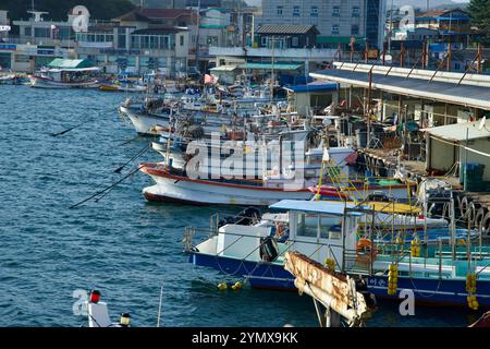 Yangyang County, Südkorea - 3. November 2024: Eine lebhafte Ansammlung von Fischerbooten legt am Hafen Namae an, einem belebten Hafen, der für seine Meeresfrüchte bekannt ist Stockfoto