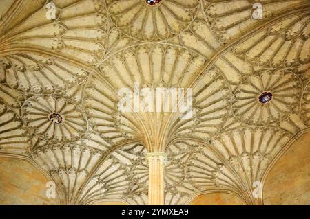 OXFORD, Großbritannien - 23. AUGUST 2017: Wunderschöne Fächergewölbe im Christ Church College der University of Oxford in England. Stockfoto