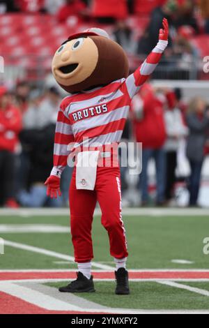 Columbus, Usa. November 2024. Das Ohio State Buckeyes Maskottchen Brutus Buckeye tritt auf dem Feld vor dem Spiel der Buckeyes gegen die Indiana Hoossiers am Samstag, den 23. November 2024, auf. Foto: Aaron Josefczyk/UPI Credit: UPI/Alamy Live News Stockfoto