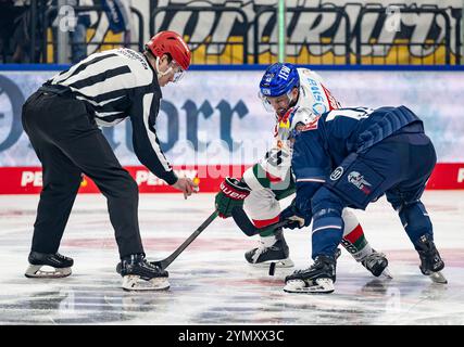 Bully zwischen Jason Bast (Augsburger Panther, #45) und Nikolaus Heigl (EHC Red Bull Muenchen, #15). GER, EHC Red Bull München vs. Augsburger Panther, Eishockey, DEL, 19. Spieltag, Saison 2024/2025, 23.11.2024. Foto: Eibner-Pressefoto/Heike Feiner Stockfoto