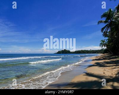 Meer und Strand in Playa Punta Uva in Costa Rica. Punta Uva Beach liegt an der südlichen Karibikküste Costa Ricas. Stockfoto