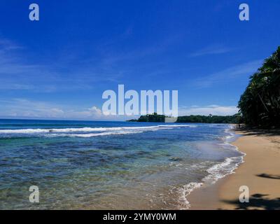 Meer und Strand in Playa Punta Uva in Costa Rica. Punta Uva Beach liegt an der südlichen Karibikküste Costa Ricas. Stockfoto