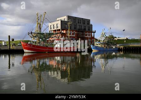 Fischerboote im Hafen von Tammensiel, Insel Pellworm, Nationalpark Schleswig-Holsteinisches Wattenmeer, Nordfriesland, Deutschland, Europa Stockfoto