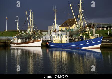 Fischerboote im Hafen von Tammensiel, Insel Pellworm, Nationalpark Schleswig-Holsteinisches Wattenmeer, Nordfriesland, Deutschland, Europa Stockfoto