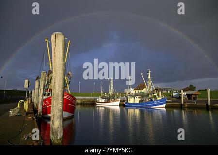 Fischerboote im Hafen von Tammensiel, Rainbow, Pellworm Island, Schleswig-Holsteinischen Wattenmeer Nationalpark, Nordfriesland, Deutschland, Europa Stockfoto