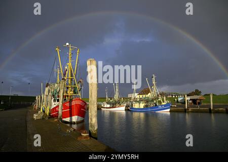 Fischerboote im Hafen von Tammensiel, Rainbow, Pellworm Island, Schleswig-Holsteinischen Wattenmeer Nationalpark, Nordfriesland, Deutschland, Europa Stockfoto