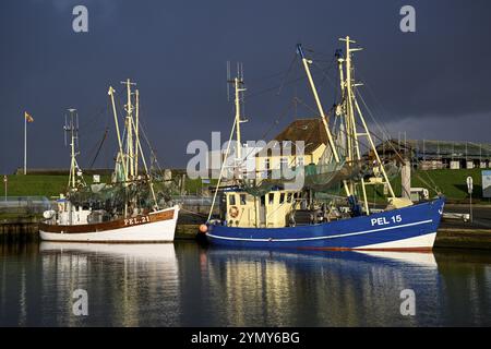 Fischerboote im Hafen von Tammensiel, Insel Pellworm, Nationalpark Schleswig-Holsteinisches Wattenmeer, Nordfriesland, Deutschland, Europa Stockfoto