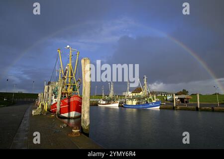 Fischerboote im Hafen von Tammensiel, Rainbow, Pellworm Island, Schleswig-Holsteinischen Wattenmeer Nationalpark, Nordfriesland, Deutschland, Europa Stockfoto