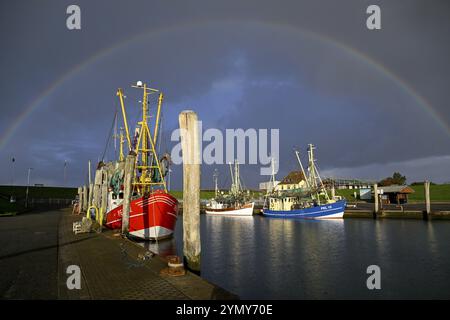 Fischerboote im Hafen von Tammensiel, Rainbow, Pellworm Island, Schleswig-Holsteinischen Wattenmeer Nationalpark, Nordfriesland, Deutschland, Europa Stockfoto