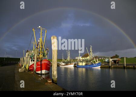 Fischerboote im Hafen von Tammensiel, Rainbow, Pellworm Island, Schleswig-Holsteinischen Wattenmeer Nationalpark, Nordfriesland, Deutschland, Europa Stockfoto