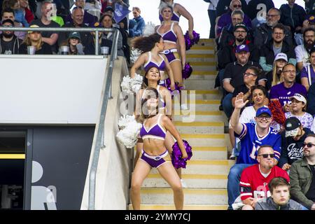 Europäische Fußballliga, elf/ Spiel : Fehervar Enthroners in der Frankfurter Galaxie am Juli. 30. 2023 in der PSD Bank Arena, Frankfurt, Deutschland Stockfoto