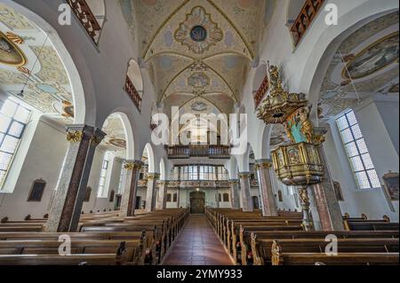 Kirchenschiff mit Orgelboden und Kanzel, ehemalige Stiftskirche St. Peter, römisch-katholische Pfarrkirche, Bad Waldsee, Oberschwaben, Baden-Württemberg Stockfoto