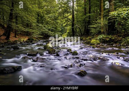 Fluss im Tal - das Loebauer Wasser im Georgewitz-Maßstab 1 Stockfoto