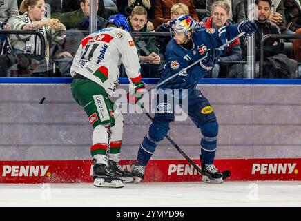 Kampf um den Puck / Zweikampf zwischen Mick Koehler (Augsburger Panther, #11) und Markus Eisenschmid (EHC Red Bull Muenchen, #11). GER, EHC Red Bull München vs. Augsburger Panther, Eishockey, DEL, 19. Spieltag, Saison 2024/2025, 23.11.2024. Foto: Eibner-Pressefoto/Heike Feiner Stockfoto