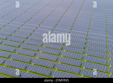 Weitläufiges Solarpanel-Feld, das erneuerbare Energie bei hellem Tageslicht nutzt Stockfoto