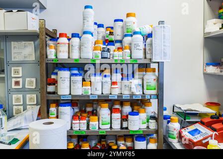 Organisierte chemische Reagenzien und Behälter auf Laborregalen, Hintergrund im Biochemie-Labor Stockfoto