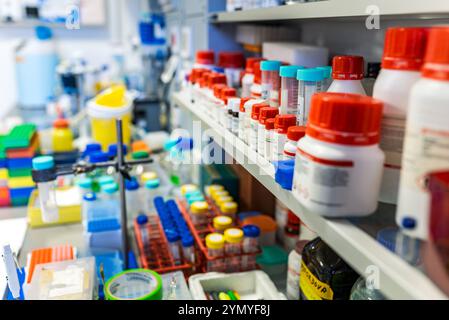 Organisierte chemische Reagenzien und Behälter auf Laborregalen, Hintergrund im Biochemie-Labor Stockfoto