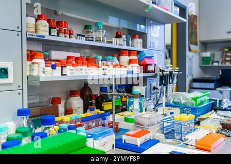 Organisierte chemische Reagenzien und Behälter auf Laborregalen, Hintergrund im Biochemie-Labor Stockfoto