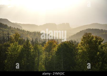 Magische Abendstimmung in der Sächsischen Schweiz 6 Stockfoto