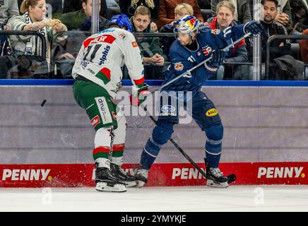 München, Deutschland. November 2024. Kampf um den Puck/Zweikampf zwischen Mick Koehler (Augsburger Panther, #11) und Markus Eisenschmid (EHC Red Bull Muenchen, #11). GER, EHC Red Bull München vs. Augsburger Panther, Eishockey, DEL, 19. Spieltag, Saison 2024/2025, 23.11.2024. Foto: Eibner-Pressefoto/Heike feiner Credit: dpa/Alamy Live News Stockfoto