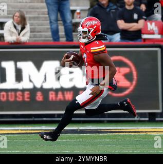 College Park MD, USA. November 2024. Maryland TERPS QB #7 MJ Morris läuft mit dem Fußball während eines NCAA-Fußballspiels zwischen den University of Maryland Terrapins und Iowa Hawkeyes im SECU Stadium im College Park MD Justin Cooper/CSM/Alamy Live News Stockfoto