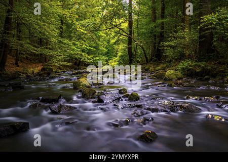 Fluss im Tal - das Loebauer Wasser im Georgewitz-Maßstab 2 Stockfoto