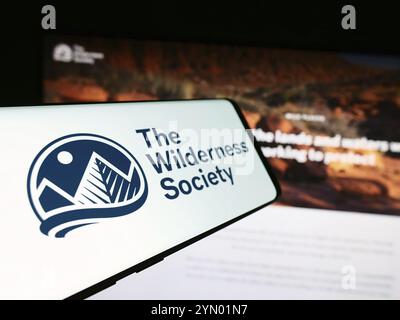 Stuttgart, 27.06.2024: Mobiltelefon mit Logo der US-amerikanischen Landschutzorganisation The Wilderness Society vor der Website. Konzentrieren Sie sich auf die Mitte Stockfoto