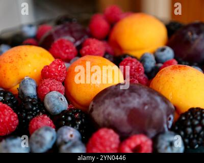 Colored background of seasonal summer fruits apricot, plum, raspberry, blueberry, blackberry in garden, close up Stockfoto