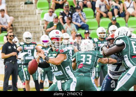 Deutsche Fußballliga, Spiel: Schwaebisch Hall Einhörner, Ravensburg Razorbacks im Optima Sportpark in Schwaebisch Hall Deutschland am 29. Juni. 2024 Stockfoto