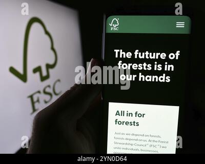 Stuttgart, 26.06.2024: Handybesitzer mit Webseite der Organisation Forest Stewardship Council GmbH (FSC) vor Logo. Konzentrieren Sie sich auf Stockfoto