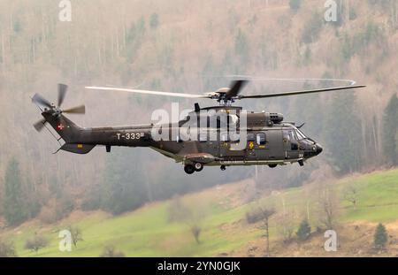 Airbus-Eurocopter AS532 Cougar Helikopter der Swiss Air Arms im Flug. Alpnach, Schweiz - 28. Februar 2024 Stockfoto