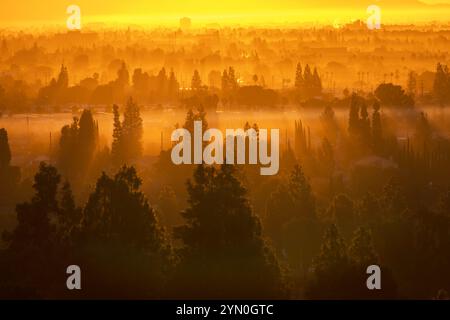 Sonnenaufgangsnebel im Viertel Chatsworth in Los Angeles, Kalifornien. Stockfoto