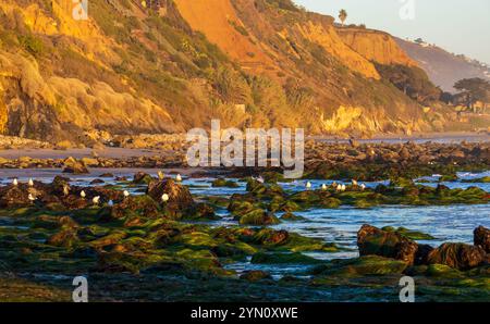 Wunderschöner Sonnenuntergang über dem Meer vom El Pescador State Beach in Südkalifornien aus gesehen Stockfoto