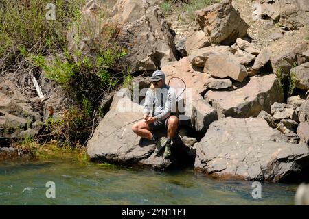 Fischen am Yankee Fork des Salmon River Stockfoto