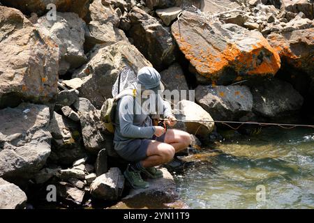 Fischen am Yankee Fork des Salmon River Stockfoto