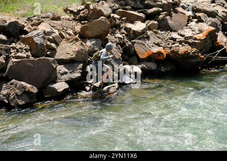 Fischen am Yankee Fork des Salmon River Stockfoto