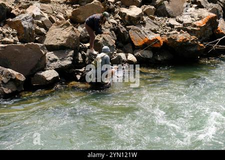 Fischen am Yankee Fork des Salmon River Stockfoto