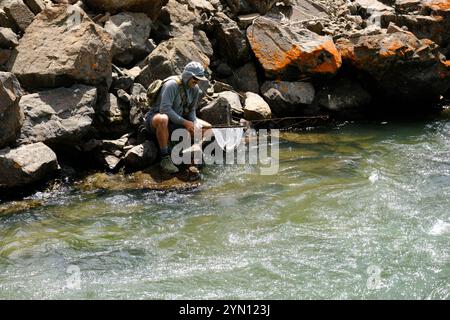 Fischen am Yankee Fork des Salmon River Stockfoto