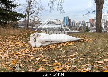 Edmonton, Kanada, 26. Oktober 2024: 'Mikikwan' (2018) Kunstwerk von Duane Linklater im Edmonton's Indigenous Art Park in der Herbstsaison Stockfoto