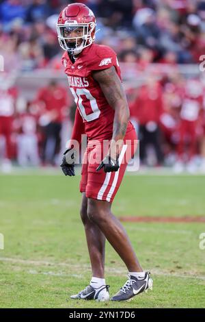 Fayetteville, USA. 23. November 2024: Arkansas Linebacker Alex Sanford #20 zieht über das Feld. Arkansas besiegte die Louisiana Tech 35-14 in Fayetteville, AR. Richey Miller/CSM Credit: CAL Sport Media/Alamy Live News Stockfoto