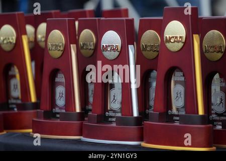 Madison, Wisconsin, USA. November 2024. NCAA Trophäen bei den NCAA Cross Country Meisterschaften auf dem Thomas Zimmer Championship Course, Samstag, 23. November 2024, in Madison, Wisc. Quelle: Kirby Lee/Alamy Live News Stockfoto