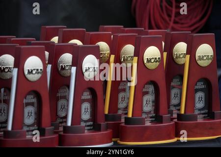 Madison, Wisconsin, USA. November 2024. NCAA Trophäen bei den NCAA Cross Country Meisterschaften auf dem Thomas Zimmer Championship Course, Samstag, 23. November 2024, in Madison, Wisc. Quelle: Kirby Lee/Alamy Live News Stockfoto