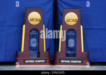 Madison, Wisconsin, USA. November 2024. Nationalsieger-Team-Trophäen bei den NCAA Cross Country Meisterschaften auf dem Thomas Zimmer Championship Course, Samstag, 23. November 2024, in Madison, Wisc. Quelle: Kirby Lee/Alamy Live News Stockfoto